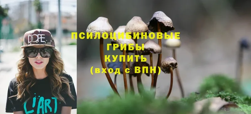 Псилоцибиновые грибы MAGIC MUSHROOMS  Полярный 